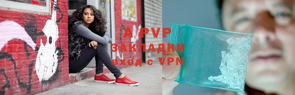 крисы Белокуриха