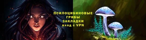 МДПВ Богданович