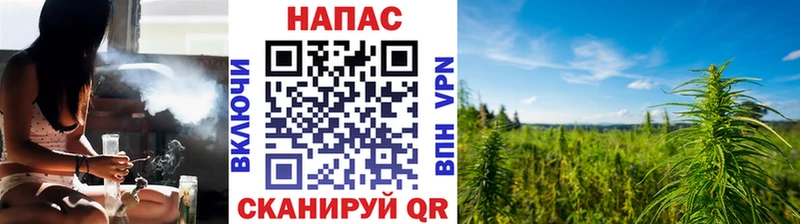 Каннабис сатива  Белогорск 